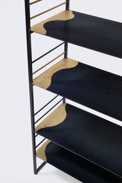 Curve Bookshelf by Harry Clark