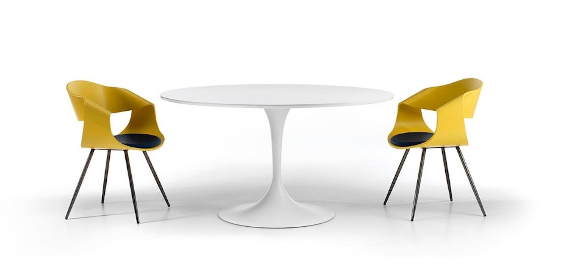 Silla de comedor Curve, madera de haya multicapa, roble o nogal Italiano en venta