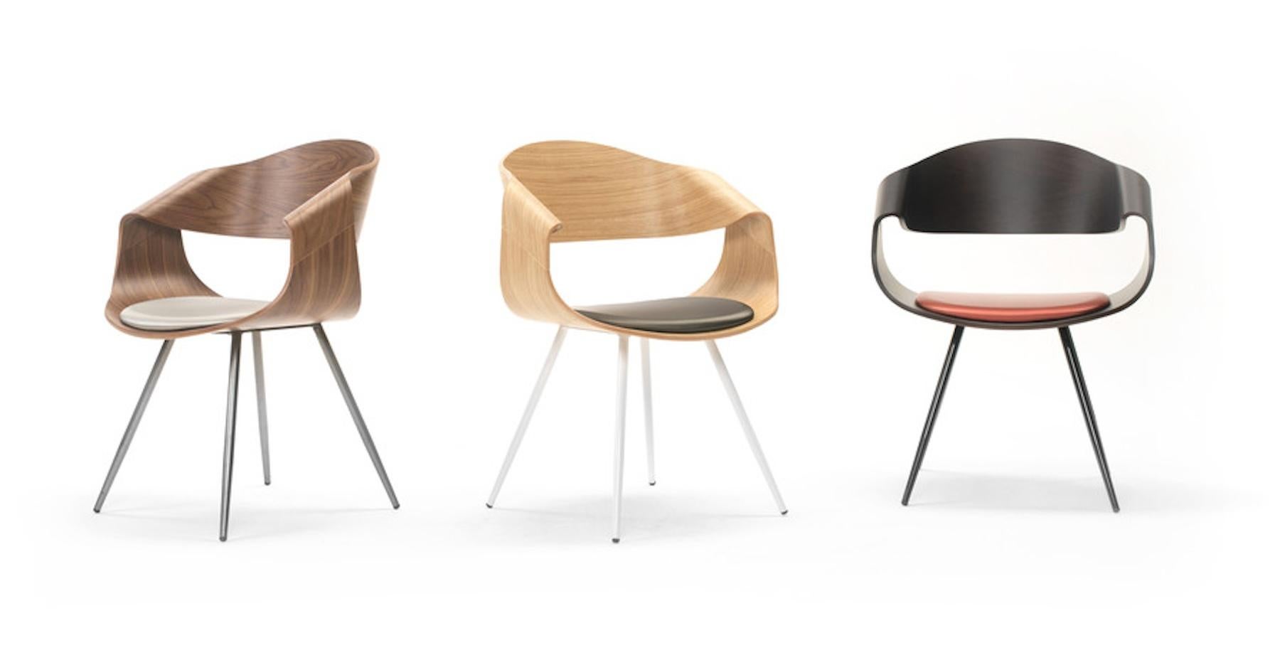 Silla de comedor Curve, madera de haya multicapa, roble o nogal Carpintería en venta