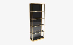 Curve Shelf System, Smoked Glass Shelves, Brass Frame