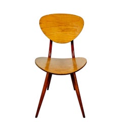 Curved beech chair by Stella – France 1950