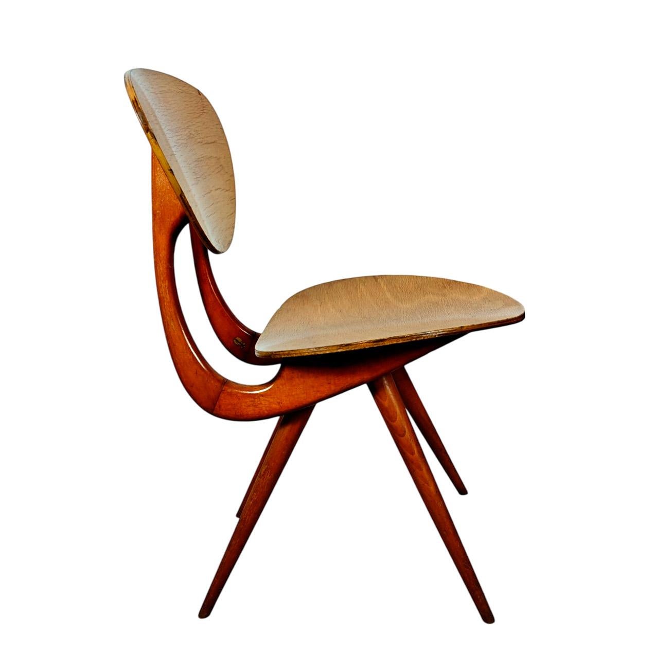 French Curved beech chair by Stella – France 1950 For Sale