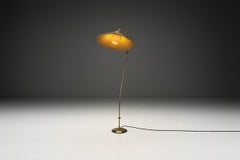 Curved Brass Floor Lamp, Europe Mid-20th Century