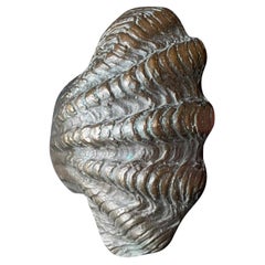 Curved Bronze Door Handle in the Shape of a Seashell, Europe 20th Century