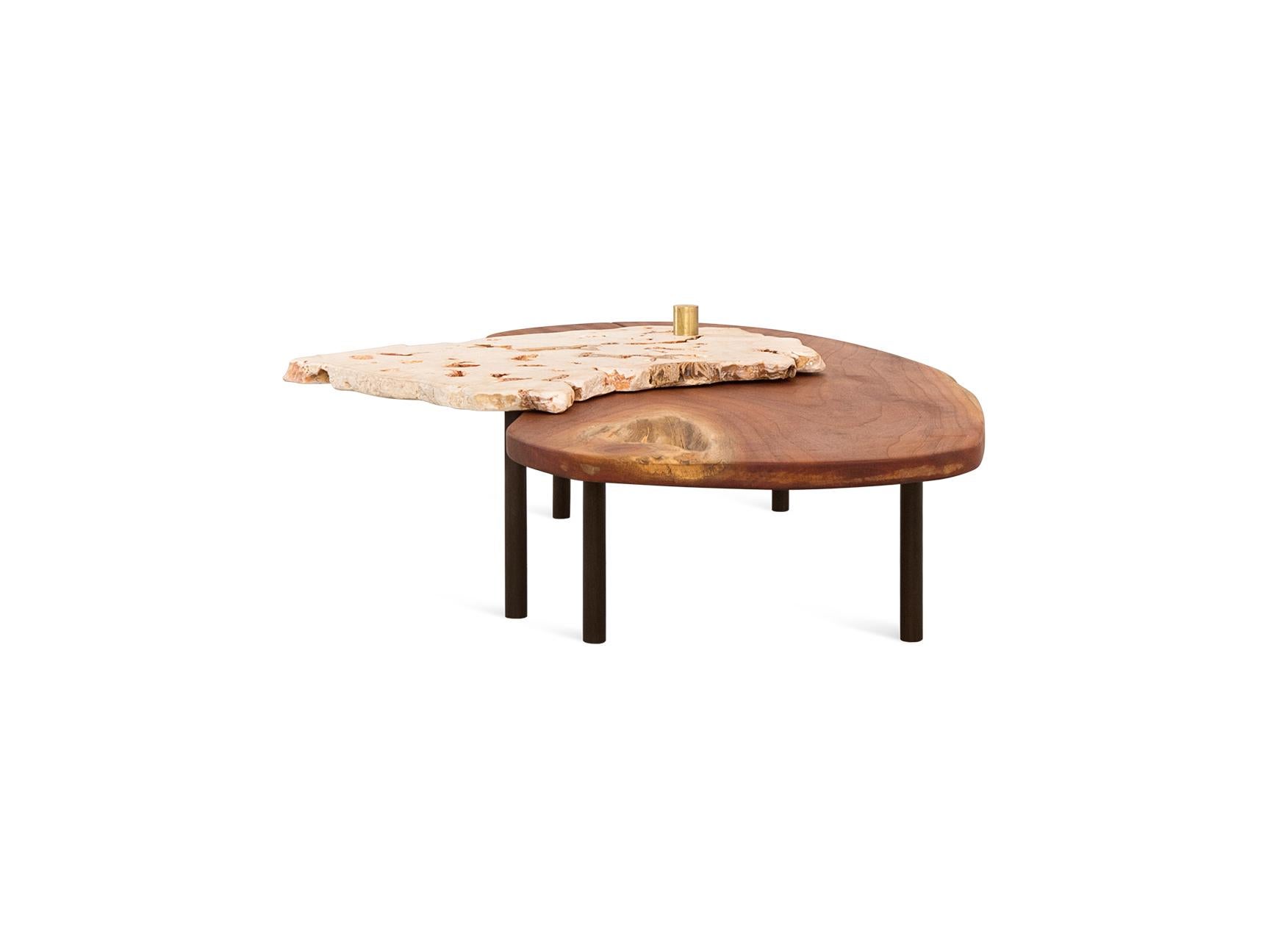 Contemporary Curved Coral and Mahogany Low Coffee Table For Sale