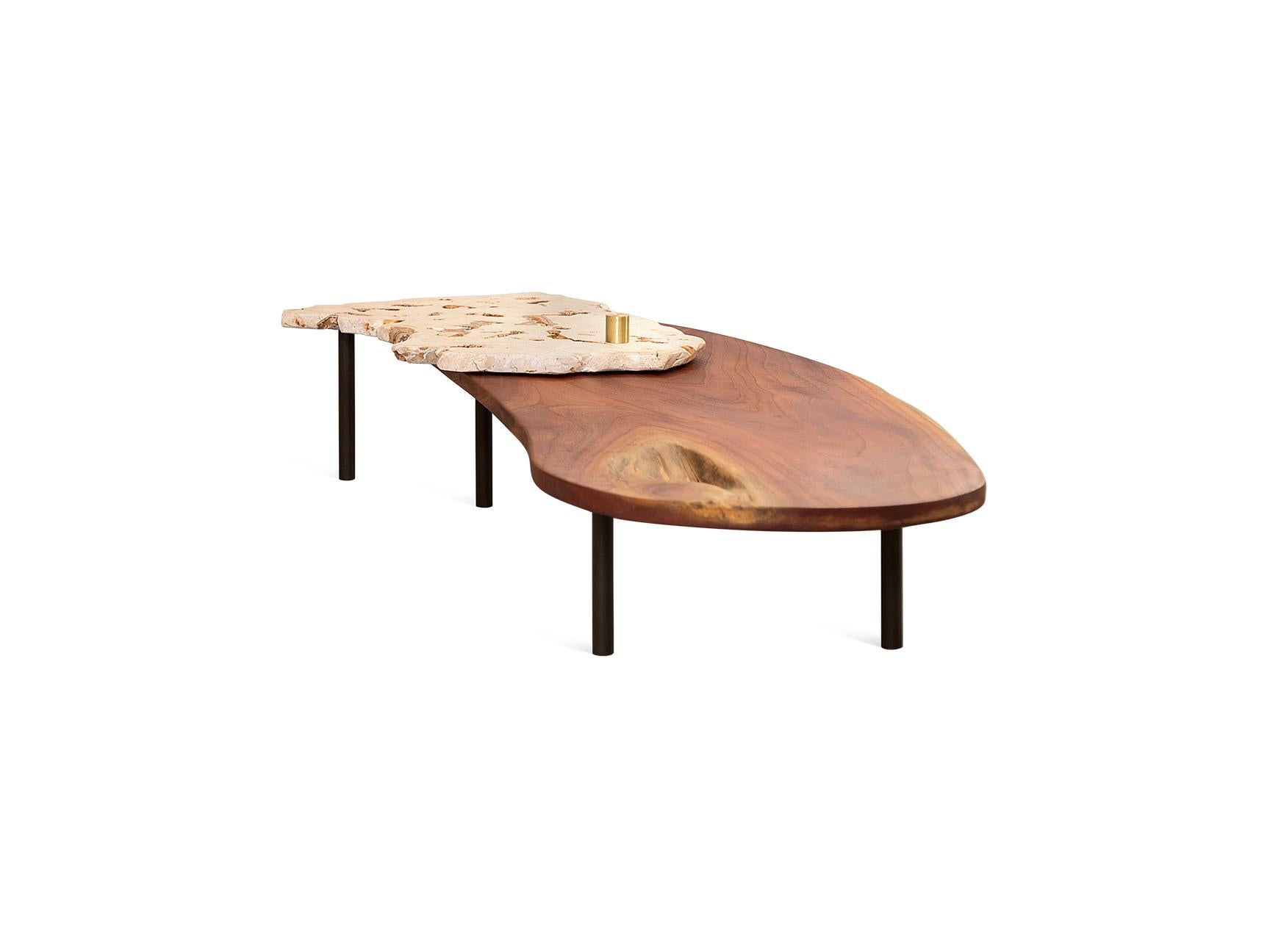 Brass Curved Coral and Mahogany Low Coffee Table For Sale