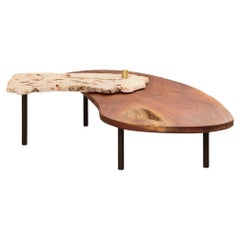 Adjustable Coral Marble & Mahogany Coffee Table – Organic Modern Design