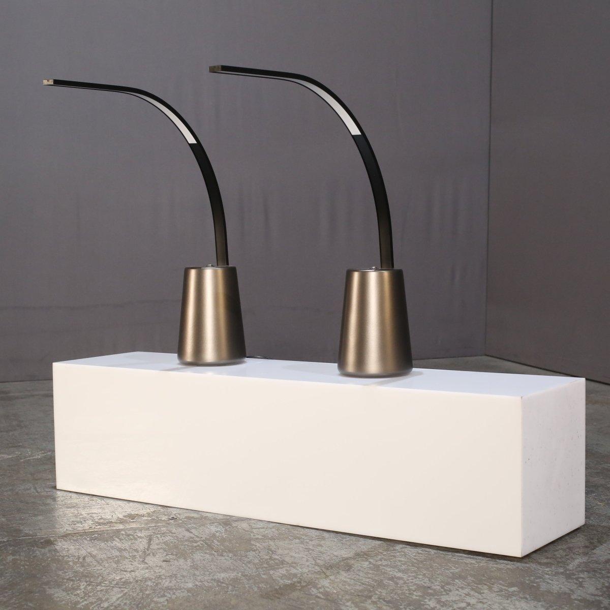 Gebogene Schreibtischlampe von Roche Bobois (Französisch) im Angebot