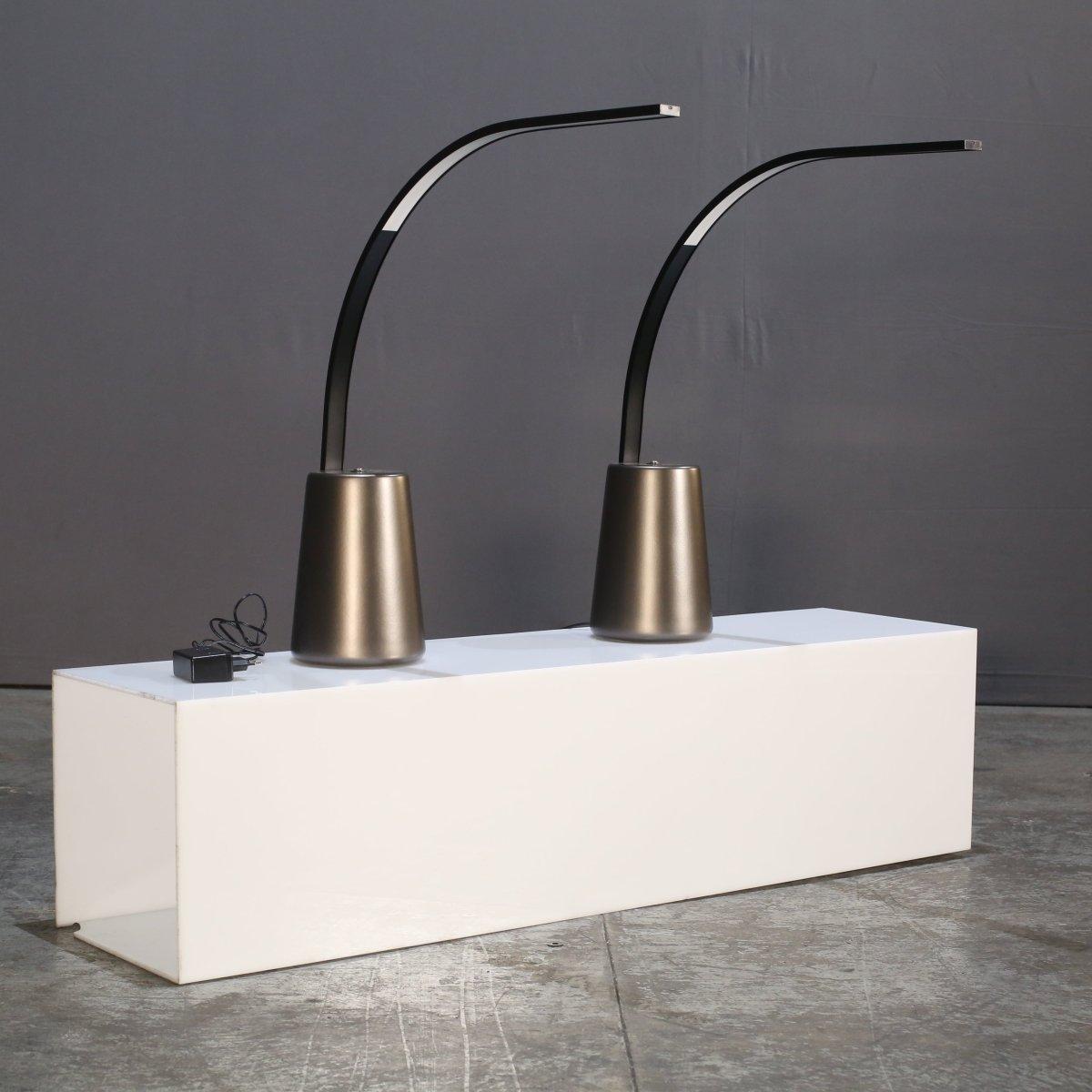 Gebogene Schreibtischlampe von Roche Bobois im Angebot 1