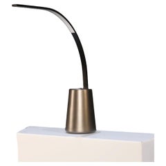 Curved Desk Lamp by Roche Bobois