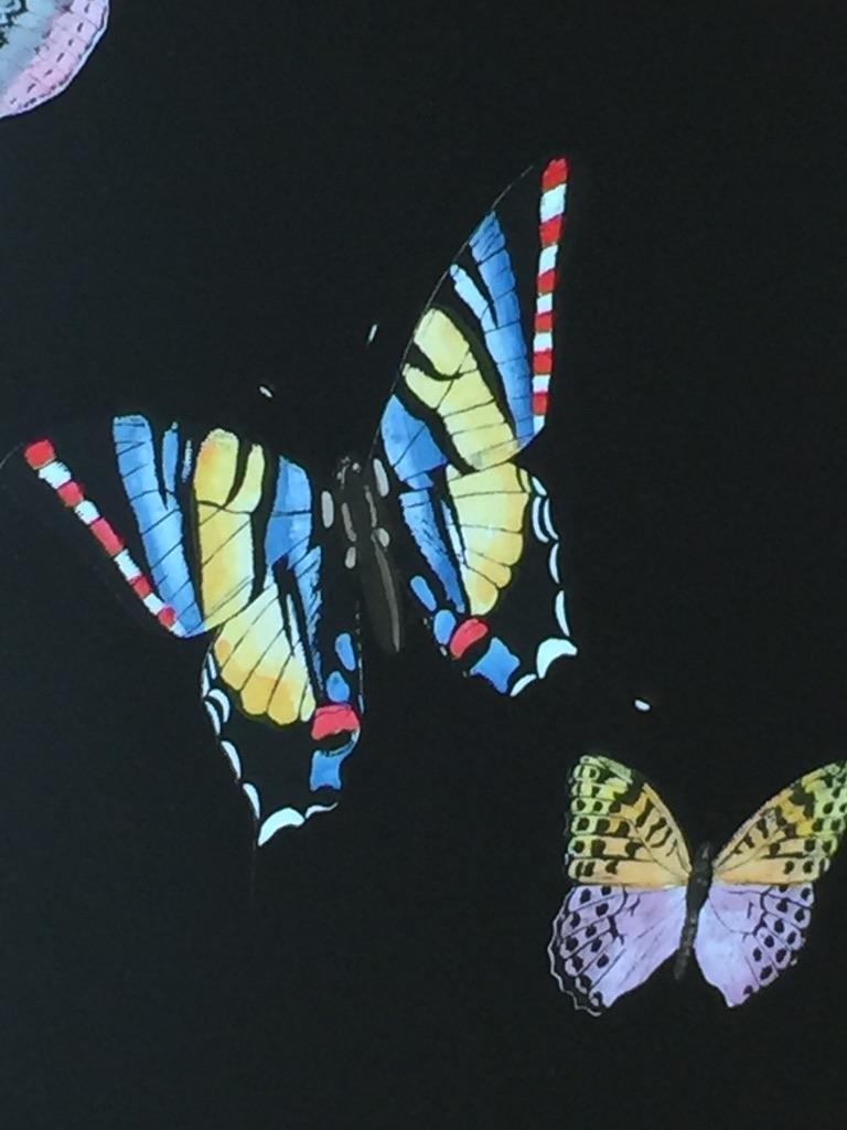 butterflies in chest
