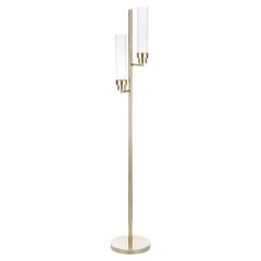 Curved Glass and Brass Structure Floor Lamp by Bronzetto