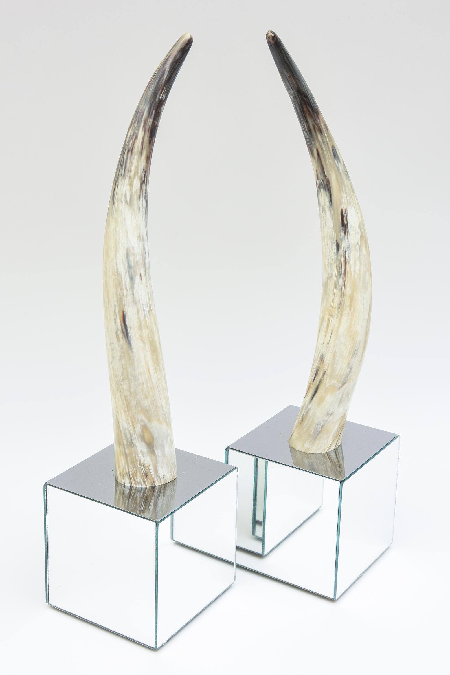This lovely pair of curved horn and mirror base cube sculptures are from the 80's. The gradients of colors of the horn range from tan to off white to gray and slate gray and etc. The mirrored bases are 6.5