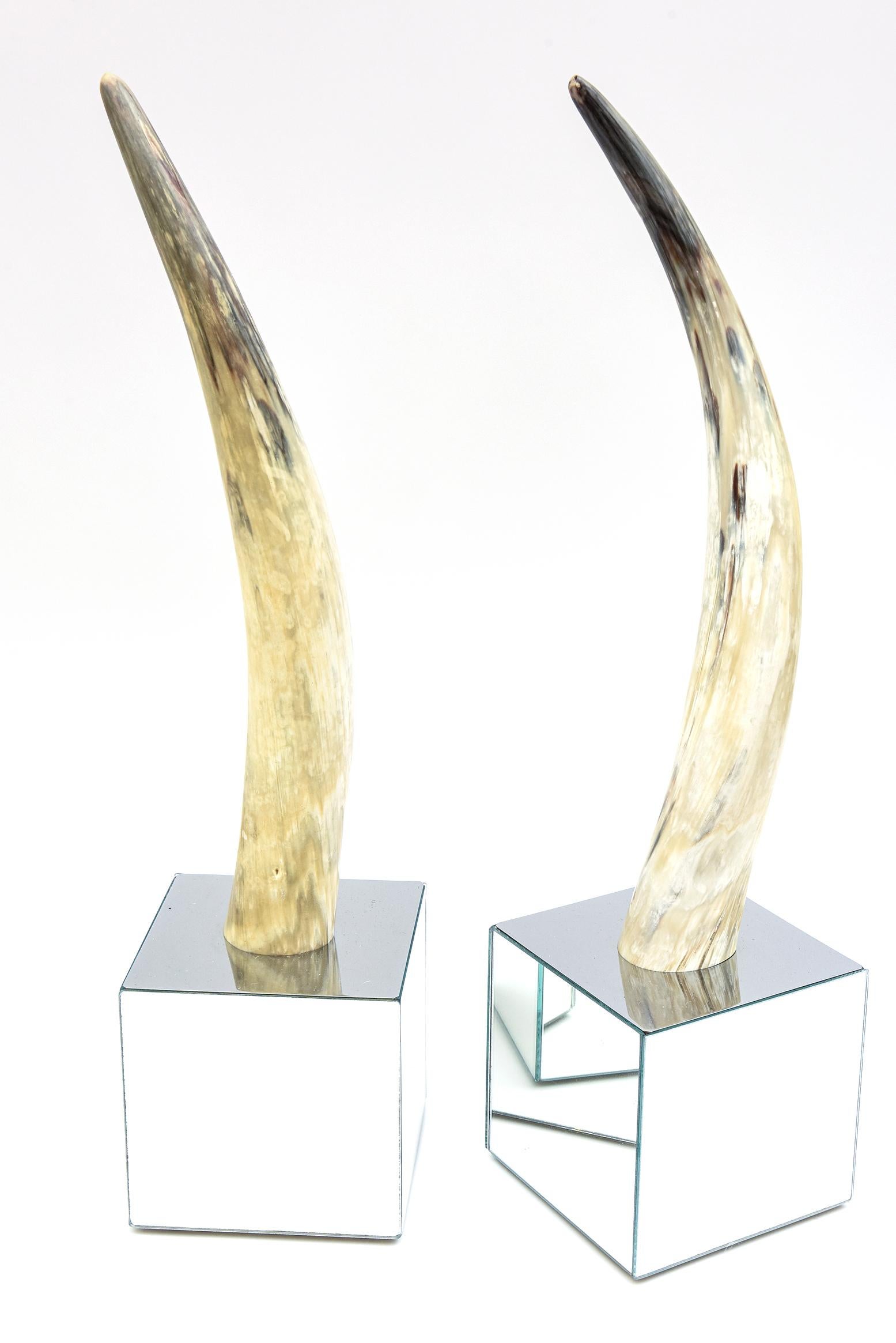 Modern Curved Horn and Mirror Cube Sculptures Pair of For Sale