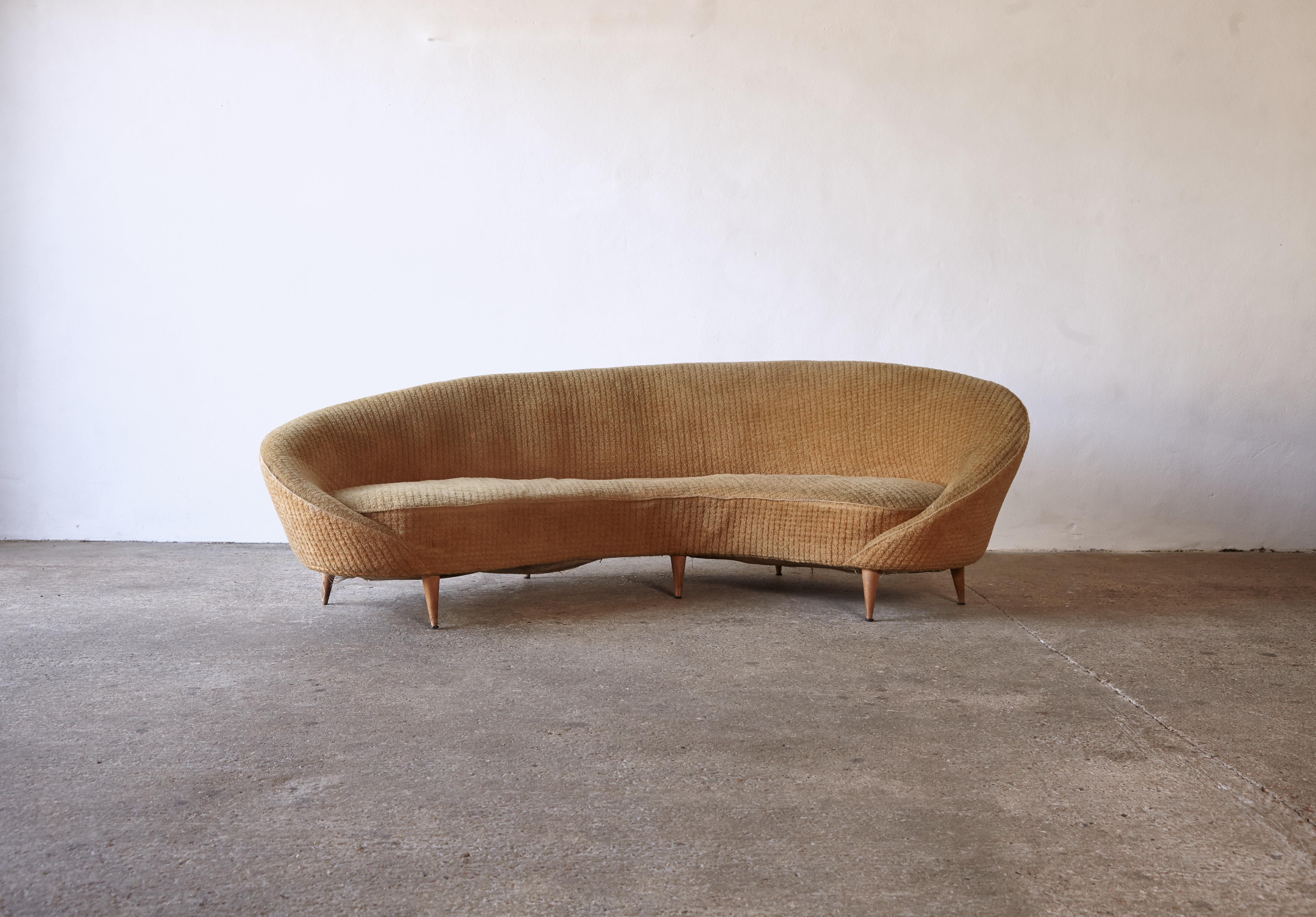 An original and authentic Italian 1950s curved comma sofa, attributed to Ico Parisi (also sometimes attributed to Federico Munari). The sofa is of curved organic form with its original sprung cushion and conical beech feet. We are offering this sofa