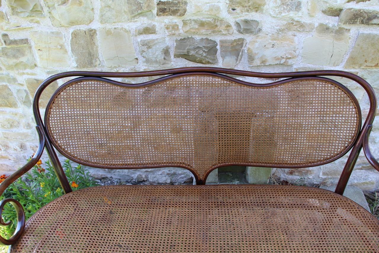 panca curva in legno e canna n. 5, firmata Thonet, presente nel catalogo del 1904 in ottime condizioni