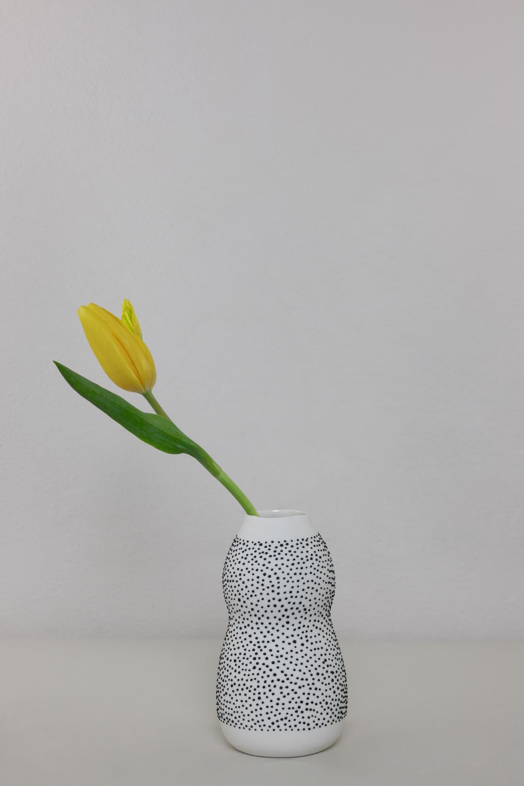 Voici le vase Curvey en porcelaine fait main de la collection exclusive DOTS de JHA Porcelain. Cet élégant vase est fabriqué selon la technique traditionnelle de la coulée en barbotine et présente un étonnant motif de surface créé à la main. Le vase