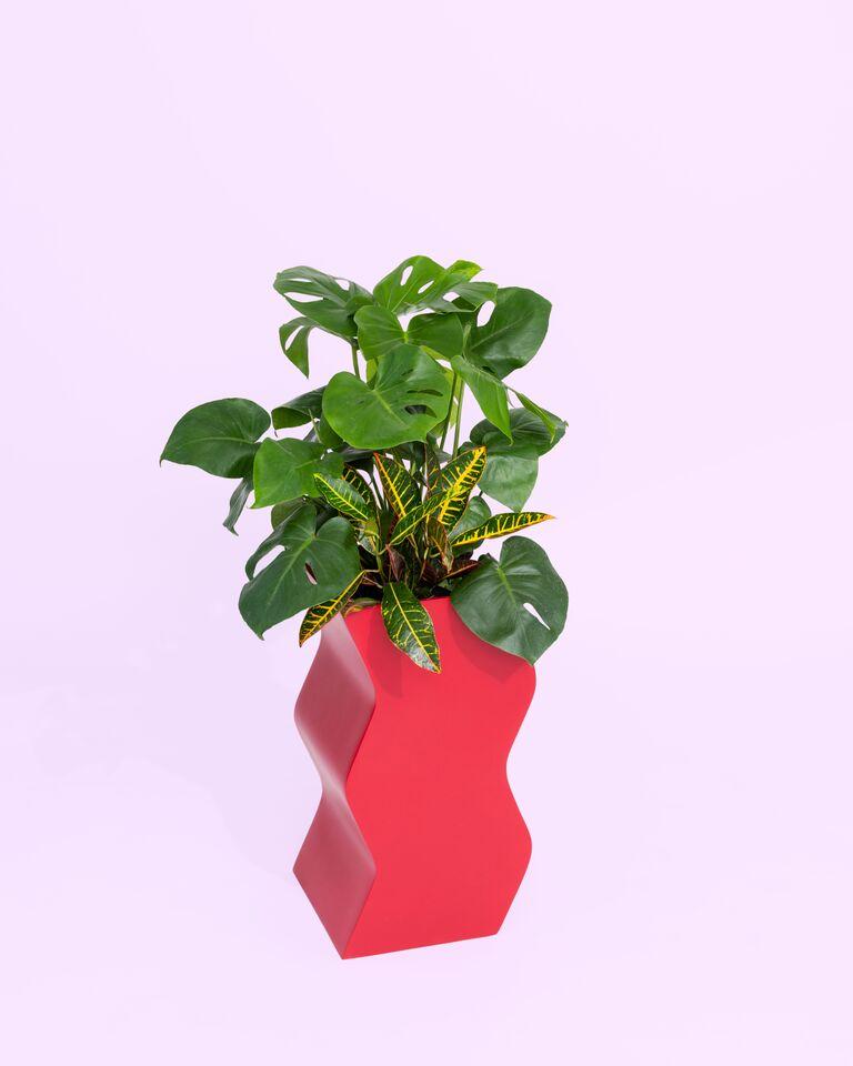 Modern Curvy Planter by Pieces, Red Fiberglass Planters For Sale