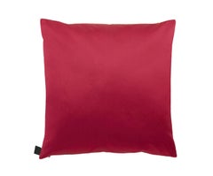Cushion Phoenix 56