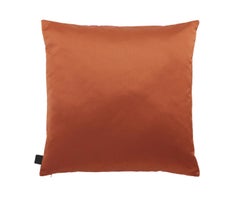 Cushion Phoenix 59