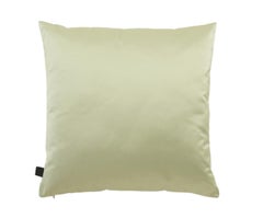 Cushion Phoenix 61