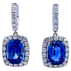 Cushion Sapphire sparkle earrings