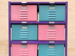 Custom 2 X 6 Locker Basket "Tall Boy" Unit with Single and Double Wide Baskets