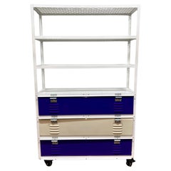 Custom 3 X 3 Locker Basket Unit on Casters With Expanded Metal Shelves
