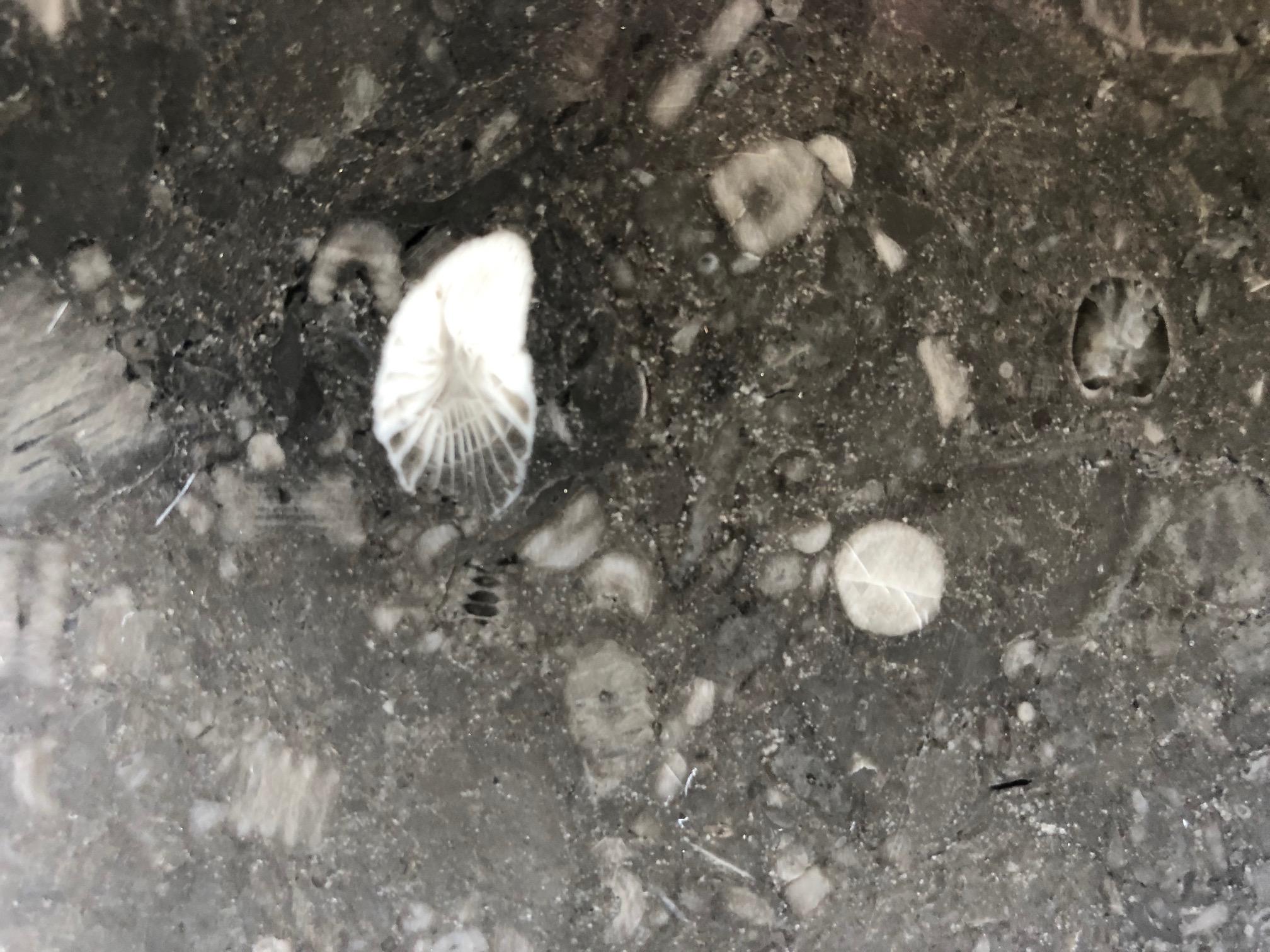 Stone Custom Belgian Bluestone Round Dining/Center Table with Barrel-form Base For Sale