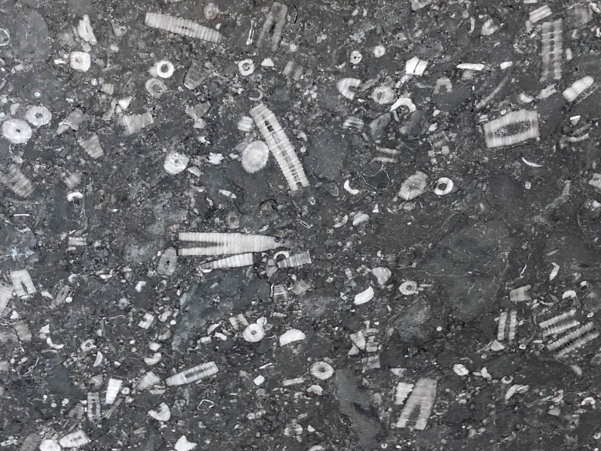 Custom Belgian Bluestone Round Dining/Center Table with Barrel-form Base For Sale 1