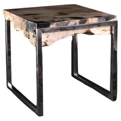 Used Custom Chrome and Polished Petrified Wood End Table