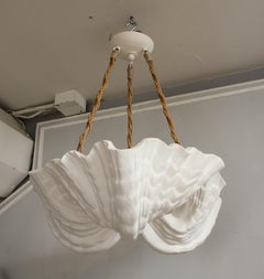 Custom Coquillage Plaster Fixture