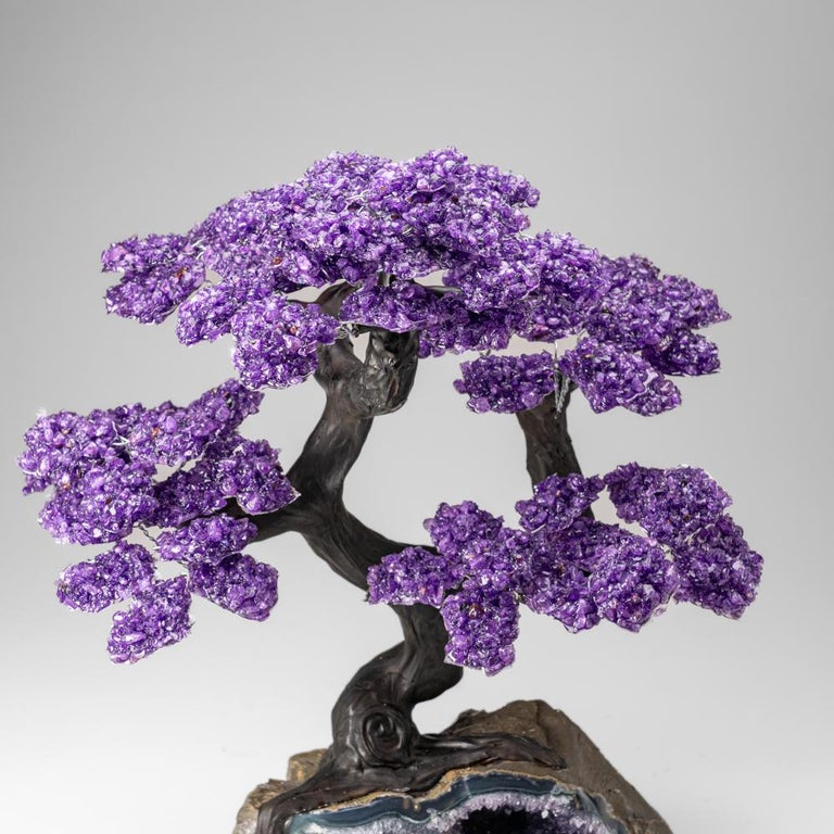 Amethyst Crystal Bonsai Tree(1251 Gemstone Count) Chakra Tree With