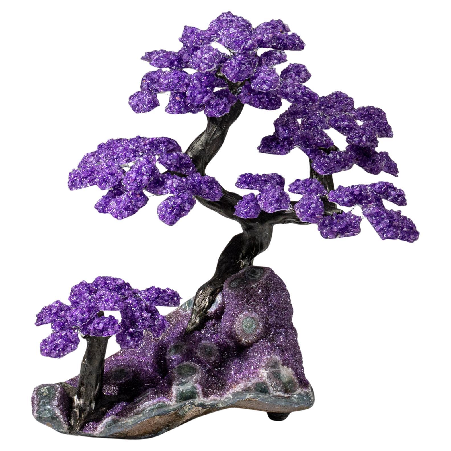 Individuell gestaltet - Echter Amethyst Clustered Edelstein Baum auf Amethyst Matrix