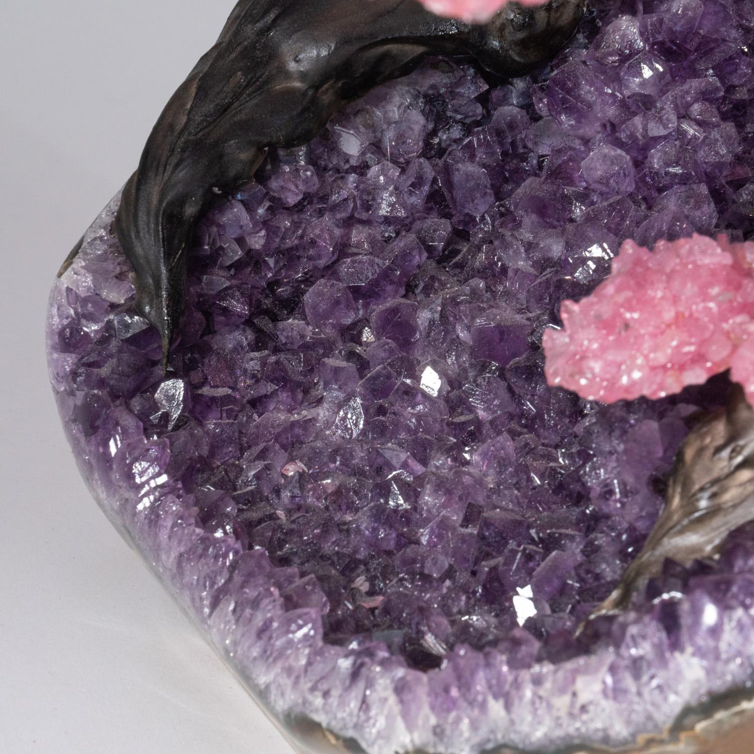 Uruguayan Custom Designed, Genuine Rose Quartz Clustered Gemstone Tree on Amethyst Matrix