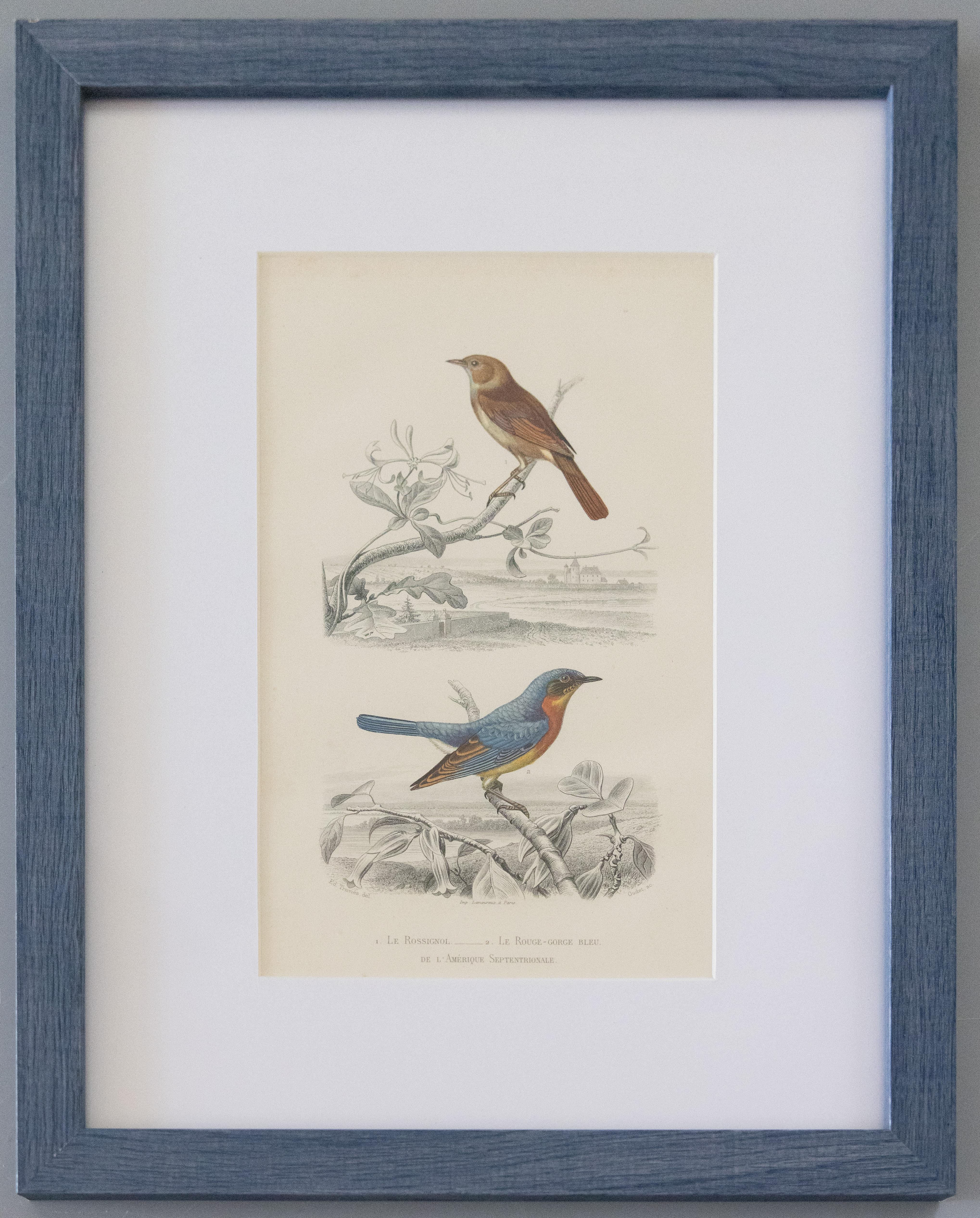 Glass Custom Framed Antique Bird Engravings - Set of Two For Sale