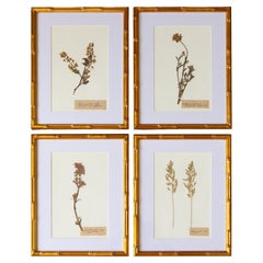 Decorative Art