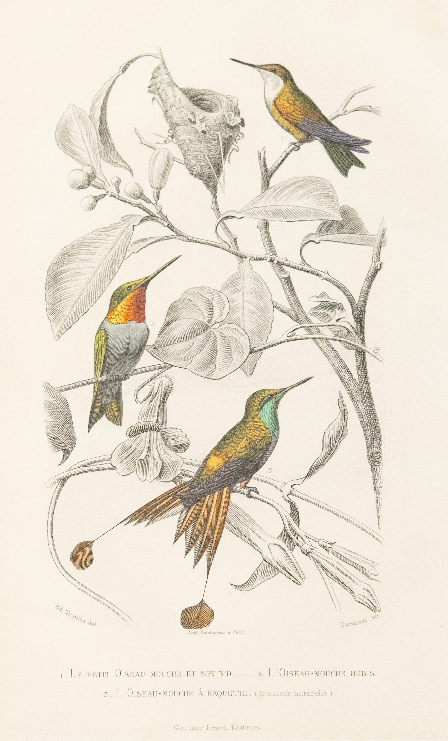 Maßgefertigte gerahmte antike Hummingbird-Stickerei – Zweier-Set (Mittleres 19. Jahrhundert) im Angebot