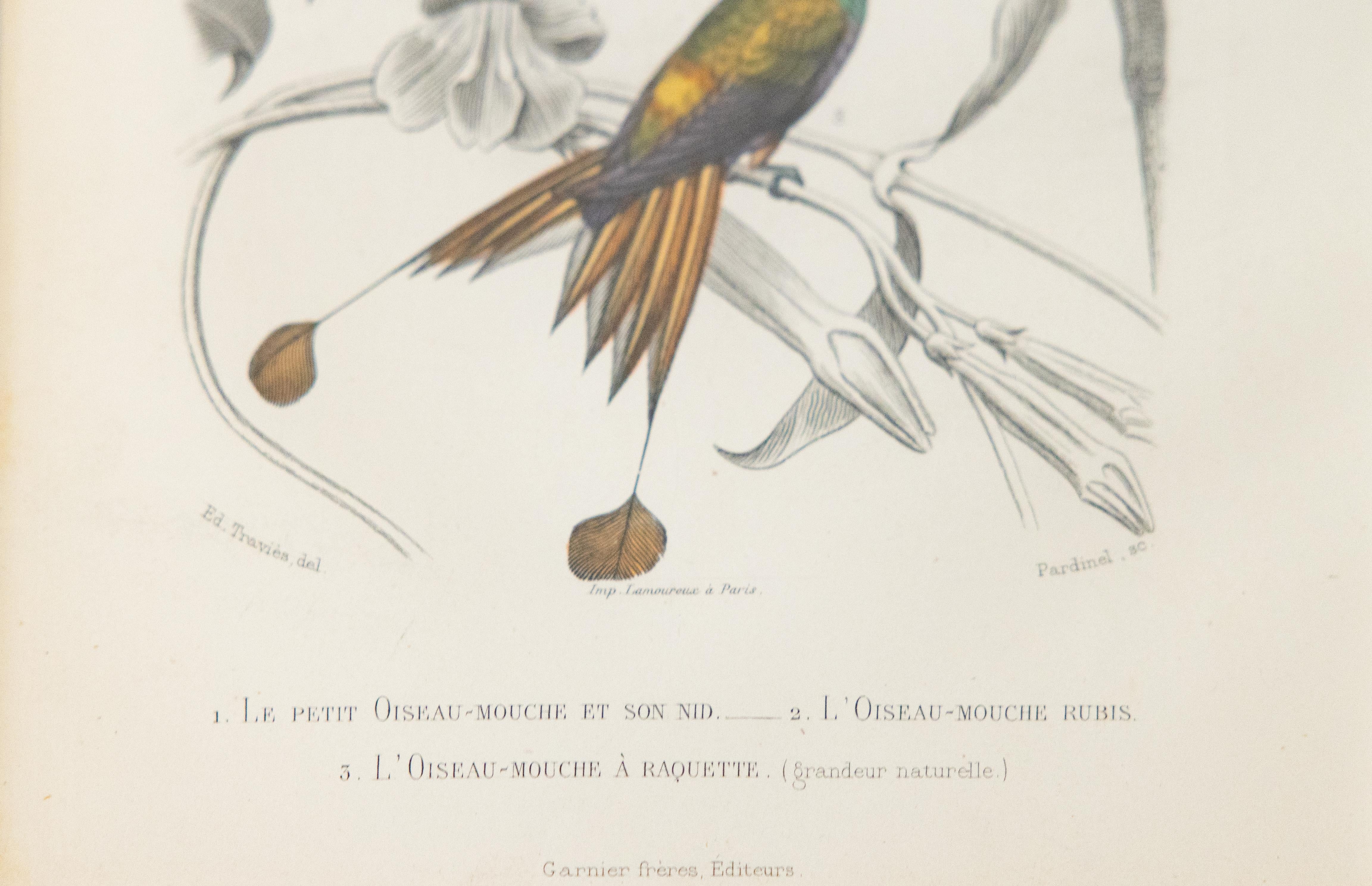 Maßgefertigte gerahmte antike Hummingbird-Stickerei – Zweier-Set (Holz) im Angebot