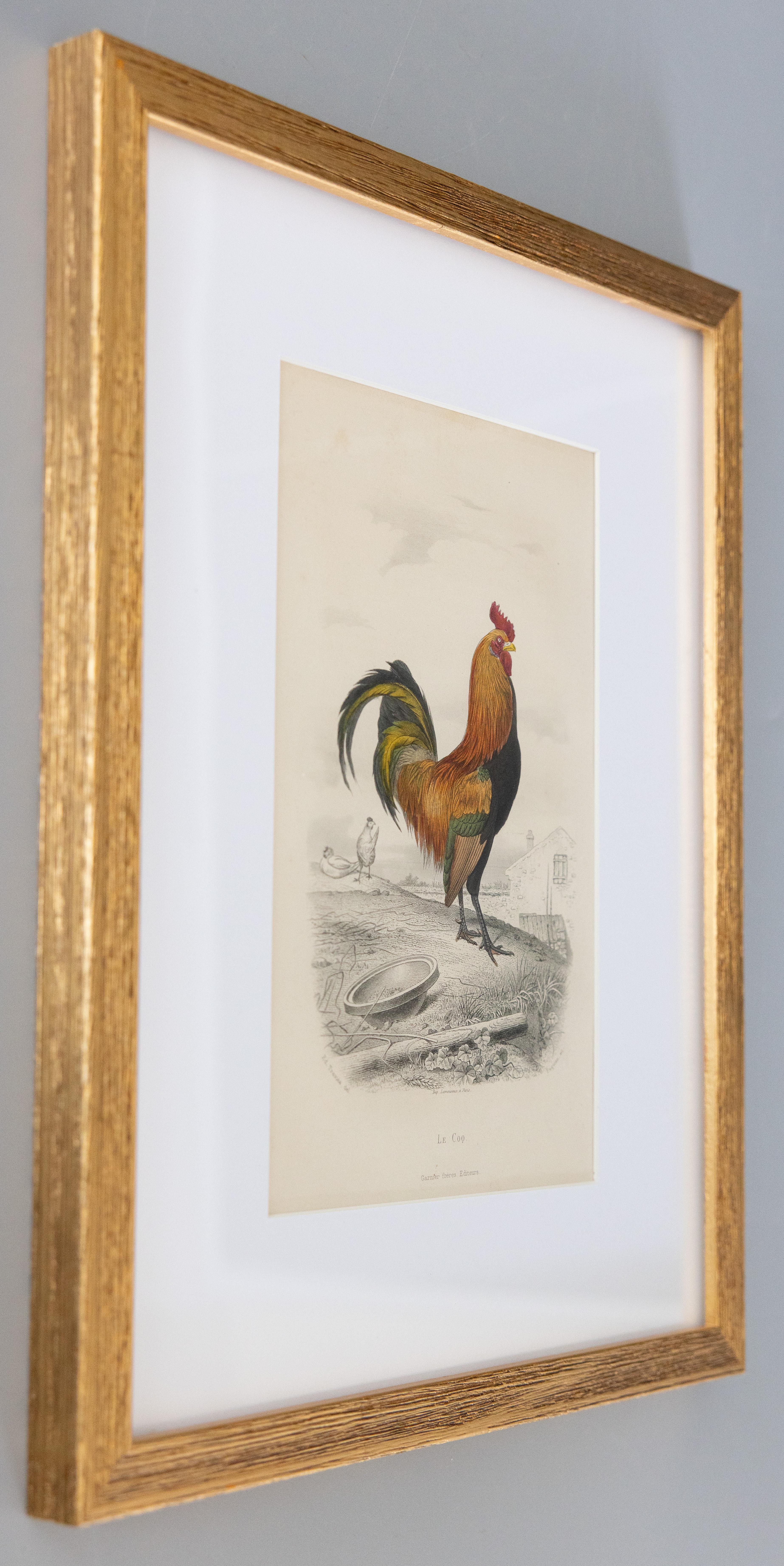 Engraved Custom Framed Antique Rooster Engraving For Sale