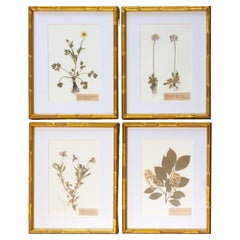 Decorative Art