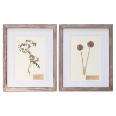 Decorative Art