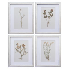 Decorative Art