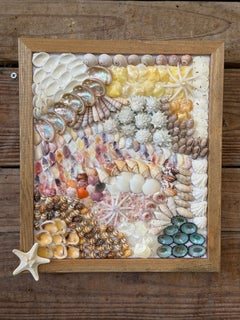 Custom Framed Coastal Seashell Wall Art