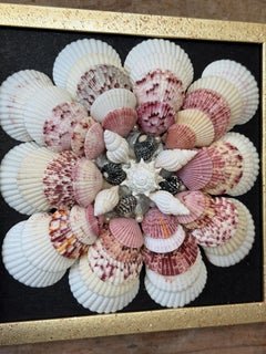 Custom Framed Seashell Wall Art in the Manner of a Sailor’s Valentine