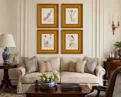 Custom Framed Vintage Finnish Herbarium Botanical Specimens, set of four