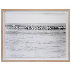 Custom Framed White Oak 1950s Black and White Surfer Photo 