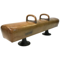 Custom Industrial Leather Pommel Horse Bench