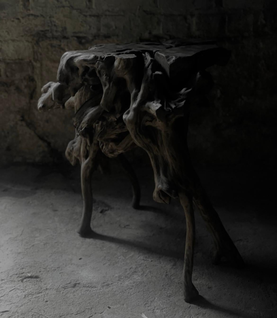 Custom Japanese Antique Root Side Table For Sale 1
