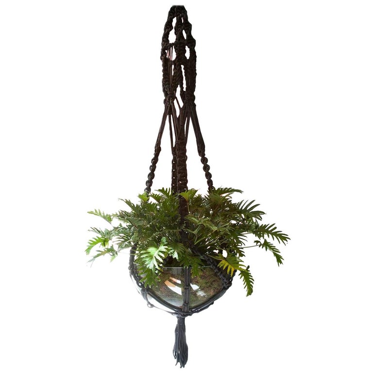 Custom Macrame Plant Hanger For Sale at 1stDibs | macrame plant hangers for  sale, custom macrame usa, macrame for sale